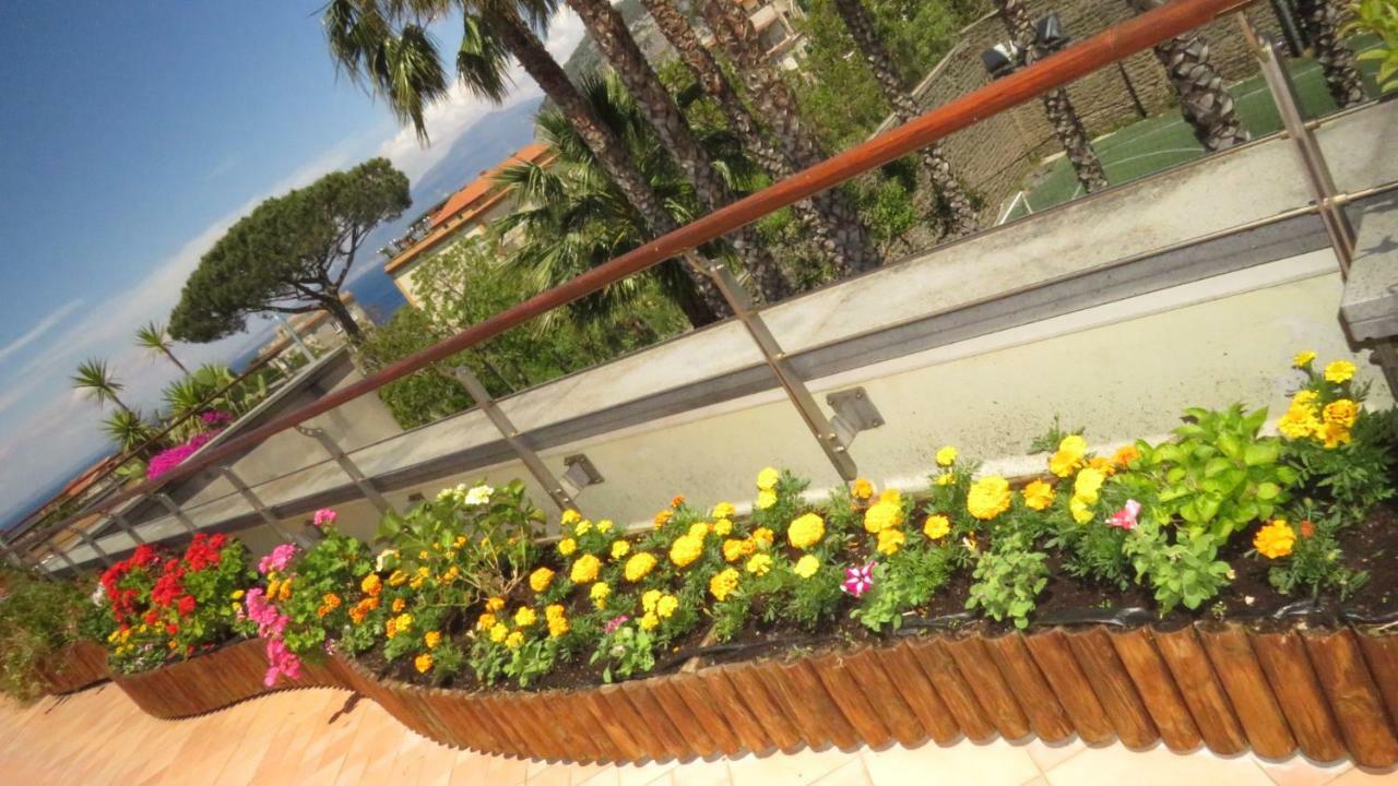Seven Hostel&rooms